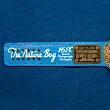 ric flair belt