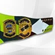 jay briscoe championship belt