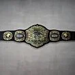 roh title belts