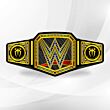 WWE Roman Reigns Belt