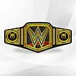 WWE Roman Reigns Belt