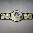 Strikeforce Championship Belt