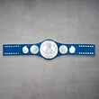 WWE Smackdown Belt
