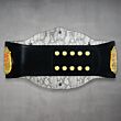stone cold steve austin championship belt