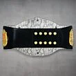 stone cold steve austin championship belt