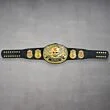 Stone Cold Champion Belt