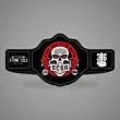 Stone Cold Belt