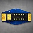 the rock championship belt