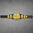 the rock wwe championship belt