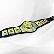 The Rock People Championship Belt full view