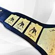 The Rock People Championship Belt right side plates