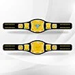 the rock wwe spinner belt