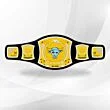 the rock wwe title belt