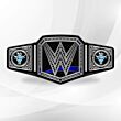 Brahma Bull Belt