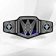 Brahma Bull Belt