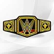The Rock WWE Championship Belt
