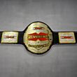 tna x division championship belt
