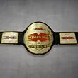 tna x division championship belt