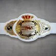 TNA Championship Belt