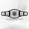 triple h title belt