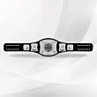 triple h wwe belt