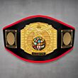 Title Boxing Belt