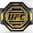 UFC Championship Belt replica