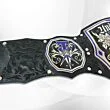 wwe undertaker belt