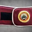 boxing belt