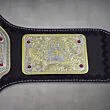 Big Gold Belt WWE World Heavyweight
