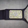 championship belt