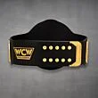 WCW Championship Belt back view