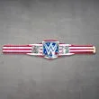 us championship belt