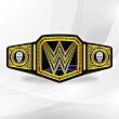 WWE Stone Cold Belt