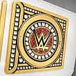 WWE Womens Championship Belt side plates