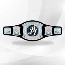 AJ Styles Spinner Championship Belt