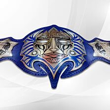 Jeff Hardy Title Belt