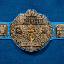 ric flair championship belt