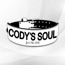 The Rock Gym Belt