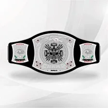 triple h spinner belt