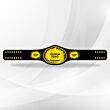 Custom Title Belt