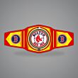 Boston Red Sox Belt