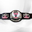 bret hart title belt