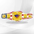 wwe spinner championship