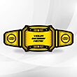 Custom Title Belt