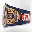 denver broncos wwe belt left view