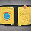 european title wwe side plates
