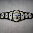 Impact Championship Belt