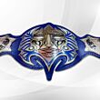 Jeff Hardy Title Belt