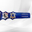 jeff hardy replica belt